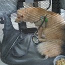 가자펜션 이미지