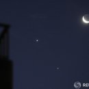 금성 - 광산구 | 금성