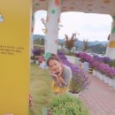 꿀벌헤어샵 이미지