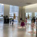 아누보발레학원 이미지