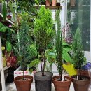 슬기농장 2 이미지