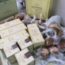 예부띠끄 | 성심당 본점 케익 부띠끄 오픈런 후기 (주말 웨이팅 +제발 꿀팁 확인ㅜ)