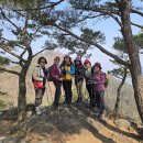 은빛바다 이미지