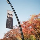 제이엑스필름 - 서구 도안중로305번안길 7-25 | 제이엑스필름