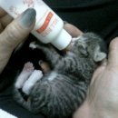 업동이네 이미지