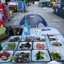 옥포항(조라) 이미지