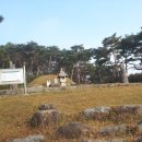 삼한국대부인순흥안씨묘 이미지