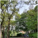 원인재역 이미지