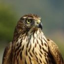 머무르다 이미지