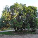 중식농장 이미지