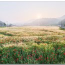 장동주민문화센터 이미지