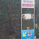 동해바다자연산