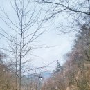 말보로맨 오토캠핑장 | 강원도 홍천 여행 코코비발디 글램핑, 오토캠핑장, 카라반 설중 캠핑 후기