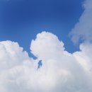 인성농장 이미지