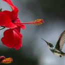 원주효요양병원 이미지