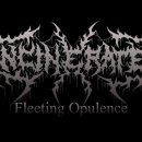 Incinerate - Fleeting Opulence 이미지