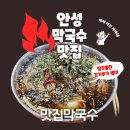 안성대로 | 안성 막국수 맛집막국수 내돈내산 솔직후기 막국수 호 수육 불호