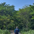 알봉 둘레길 이미지