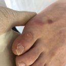 레푸스수성점 이미지