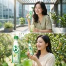 프리바이오틱스 애플소다맛--정리합니다 이미지