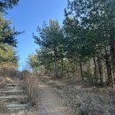 태우농장 | 🚜 사람 태우고도 거뜬! 전동운반차 실제 주행 테스트 현장 공개