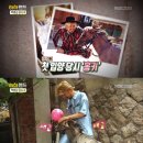 반려당 뉴스엔