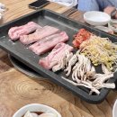 착한오리와돼지 이미지