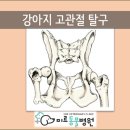 남창미르동물병원 이미지