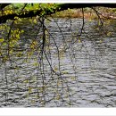 삼사목장 이미지