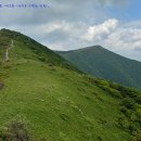 내차를부탁해 이미지