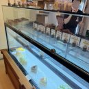 양과자점취향 | 용인 보라동 카페 양과자점 취향 내돈내산 케이크맛집(애견동반 가능)