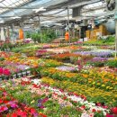 개인(서광명) 이미지