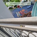 송학지안리즈 이미지