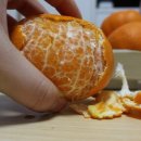 웅이네 농장 이미지