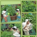 이레어린이집 이미지