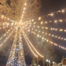 혜성 행정사사무소 이미지