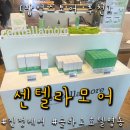 케어모어 | 서울 명동 센텔라모어 팝업스토어 방문 후기｜진정케어 제품 직접 체험해봤어요