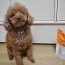 (주)우리덴탈 이미지