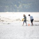 장삼포해수욕장 이미지