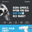 세계로동물의료센터 이미지