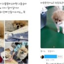 남부-옥동-옥동04 이미지