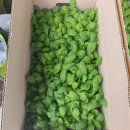 진주팜농약 이미지