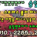 승일정비 이미지
