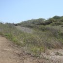 삼도목장 이미지