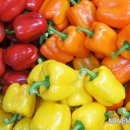 파프리카 조형물 이미지