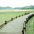 독서교육지도사 2급 과정 이미지