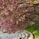 늘푸른충전소 이미지