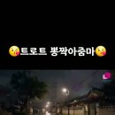 트로트뽕짝아줌마(출처 : TikTok) 이미지