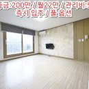 야은로-23 네이버블로그