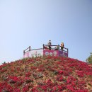 거북이동산 이미지